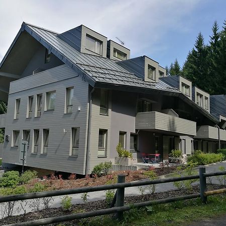 Apartment Draco Harrachov Kültér fotó
