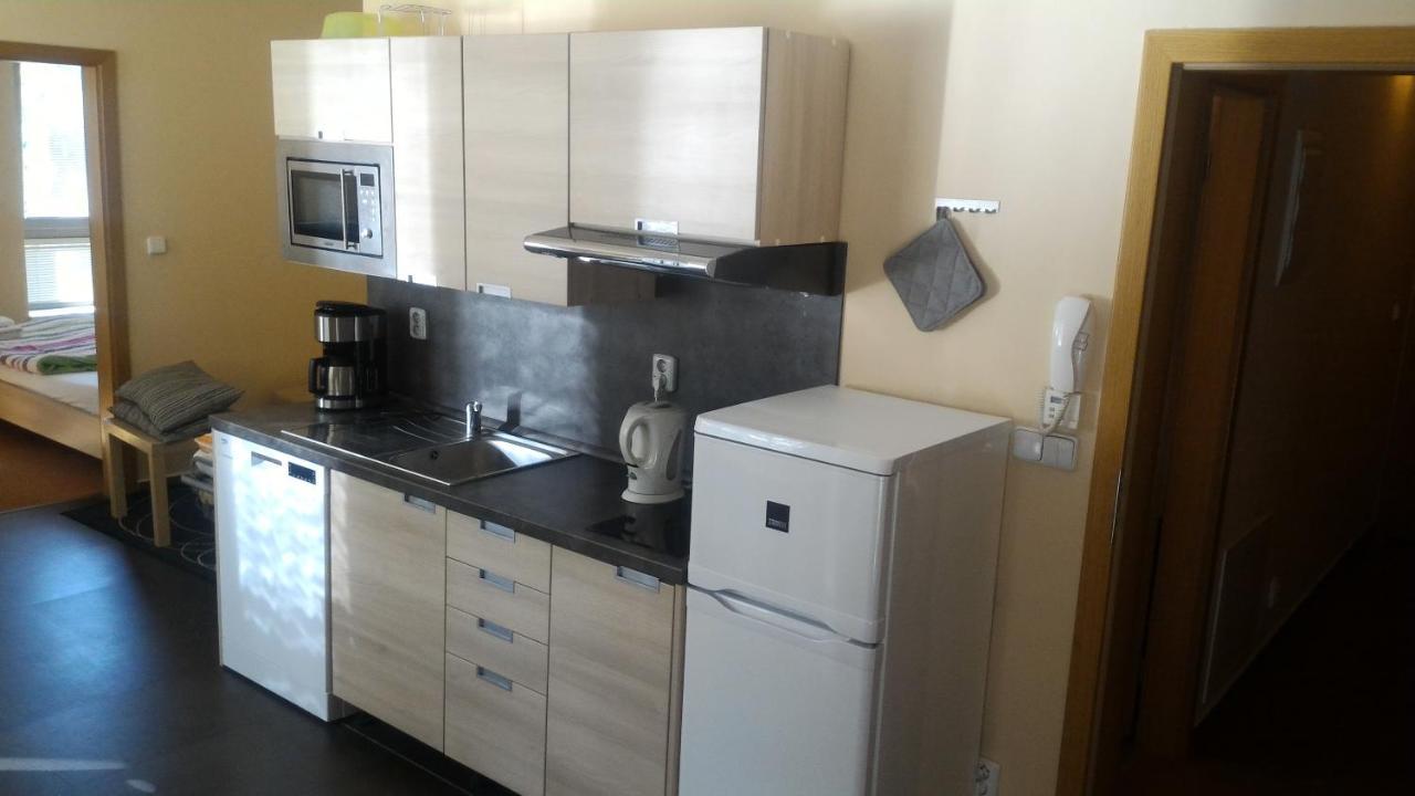 Apartment Draco Harrachov Kültér fotó